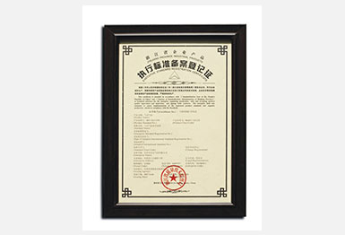 执行标准备案登记证